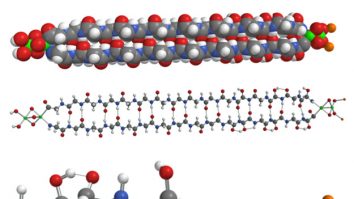 Prima proteină extraterestră, descoperită într-un meteorit