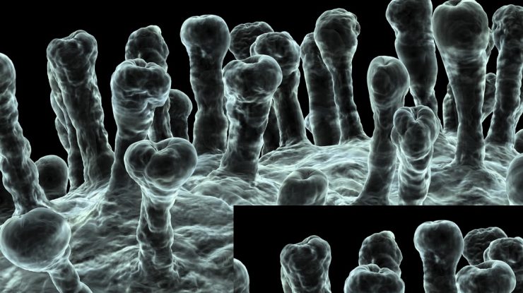 Al șaselea caz de infecție cu noul coronavirus în România