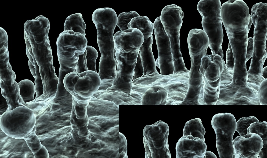 Avertismentul unui medic infecționist: „La iarnă ne aşteaptă o triplă infectare”