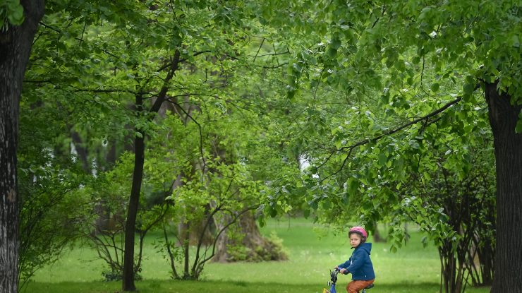 Vremea în Bucureşti se încălzeşte. Care va fi temperatura maximă