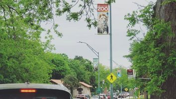 Epidemia aduce experiențe noi în Texas: Poți vizita grădina zoologică în regim drive-thru