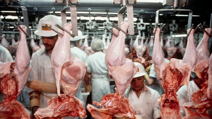 Peste 200 de români care lucrează la un abator din Germania, infectați cu Covid-19