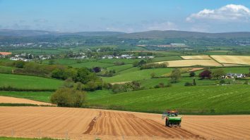 Muncitorii români, aduși în Marea Britanie pentru a-i învăța pe englezi cum să culeagă fructe şi legume în propria lor țară: Pare o nebunie, dar așa e!