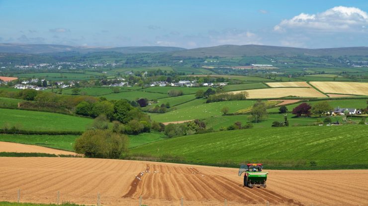 Muncitorii români, aduși în Marea Britanie pentru a-i învăța pe englezi cum să culeagă fructe şi legume în propria lor țară: Pare o nebunie, dar așa e!