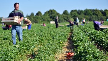 Alţi 1.000 de muncitori au plecat de pe aeroportul din Cluj. Ce planuri au românii care câştigă şi de 15 ori mai mult în Germania