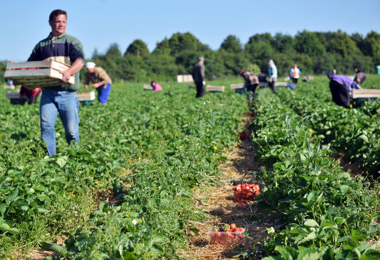 Alţi 1.000 de muncitori au plecat de pe aeroportul din Cluj. Ce planuri au românii care câştigă şi de 15 ori mai mult în Germania
