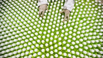 IKEA România a livrat 18 angajați unui producător de medicamente care încearcă să facă față cererii crescute