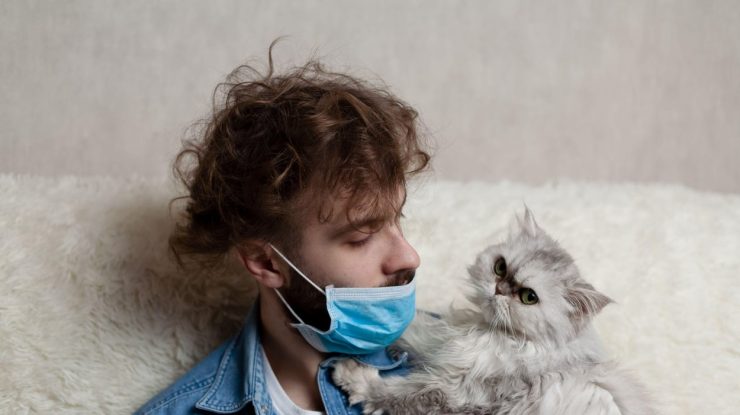 Primele două animale de companie infectate cu Covid-19 în SUA. Ține-ți pisica în casă pe cât de mult posibil