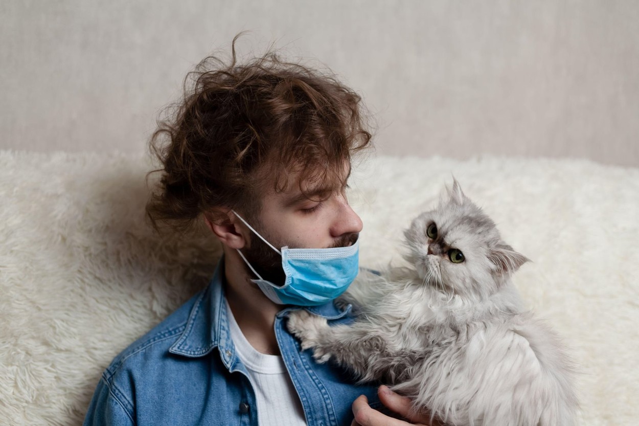 Primele două animale de companie infectate cu Covid-19 în SUA. Ține-ți pisica în casă pe cât de mult posibil