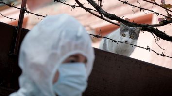 Starea de urgență continuă pentru încă o lună. Iohannis: Prețurile la medicamente, energie electrică  și gaze ar putea fi plafonate