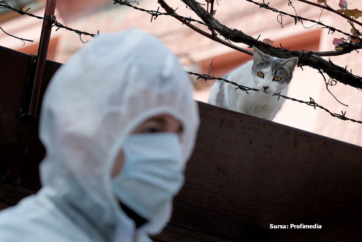 Starea de urgență continuă pentru încă o lună. Iohannis: Prețurile la medicamente, energie electrică  și gaze ar putea fi plafonate