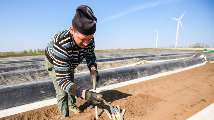 Convorbire telefonică între Ludovic Orban şi Angela Merkel. Lucrătorii sezonieri subiectul principal al discuţiei