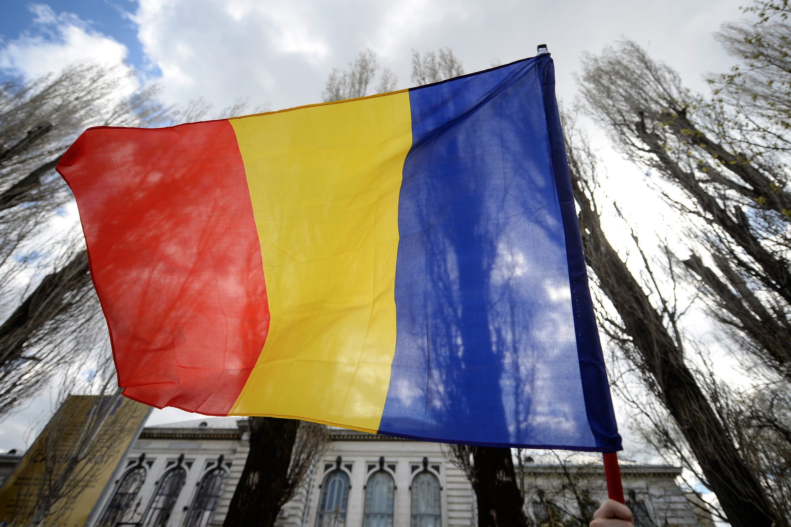 Doi adolescenți care au aruncat drapelul României într-o râpă s-au ales cu dosar penal