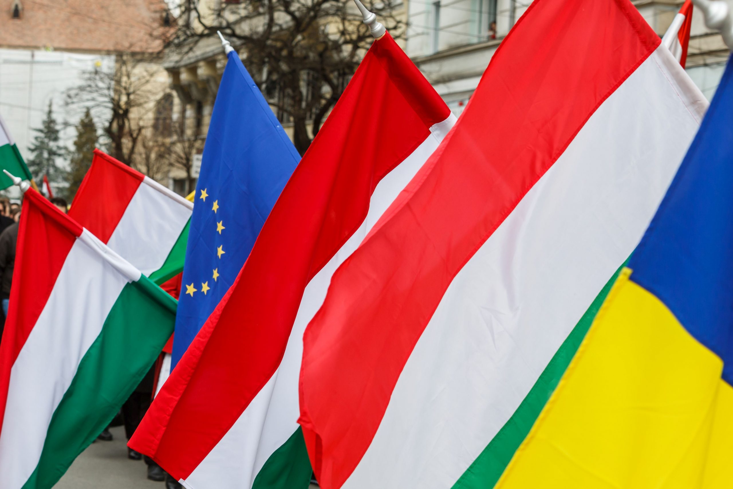 Liberalii și reprezentanții maghiarilor și-au făcut declarații de dragoste