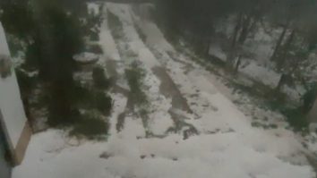 Grindină violentă în Argeș. Culturile agricole, grav afectate