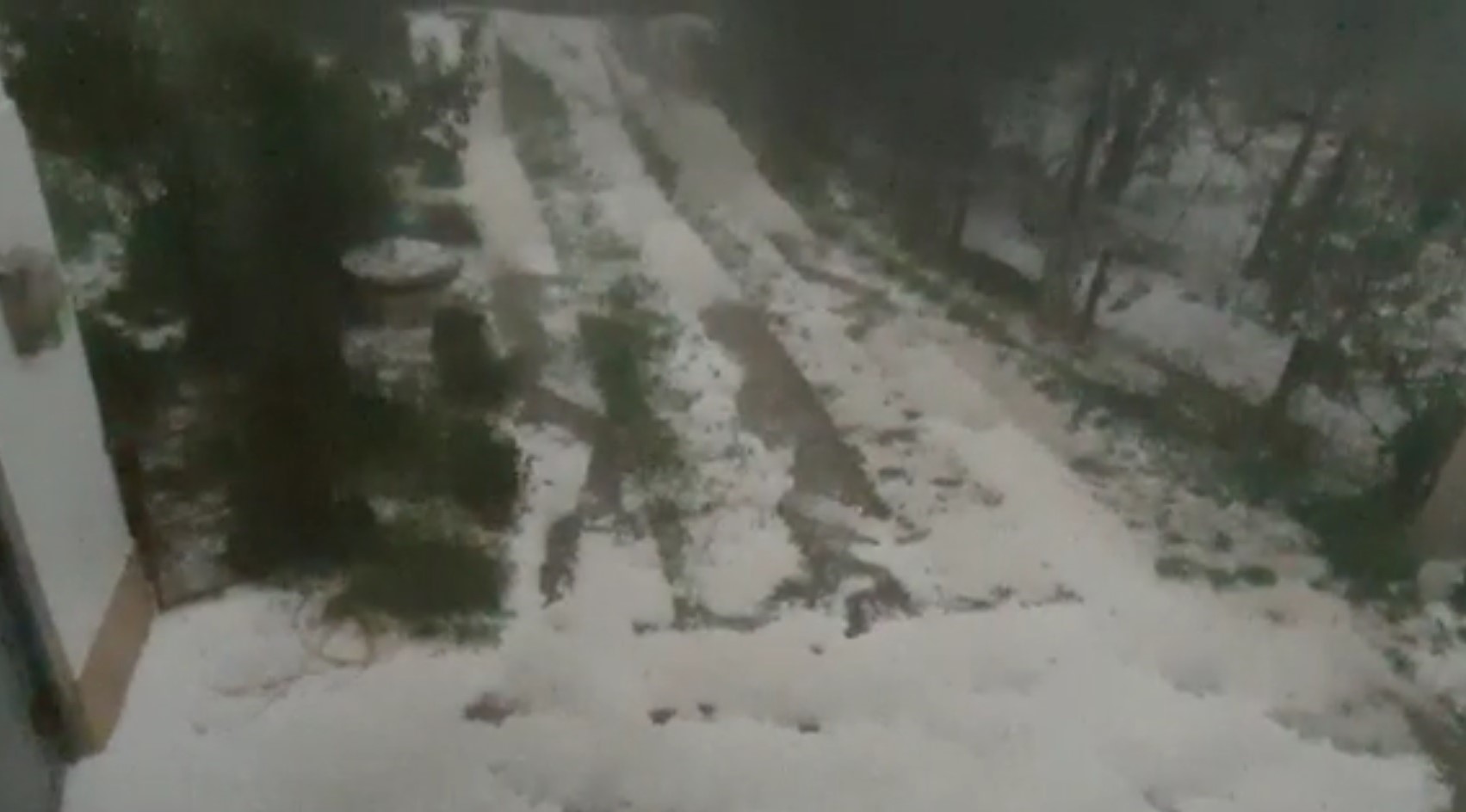 Grindină violentă în Argeș. Culturile agricole, grav afectate