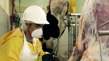 Clemens Tonnies, patronul controversatelor abatoare din Germania, are afaceri în Iași