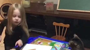 Cele mai răbdătoare pisici, la ora de desen. O fetiță de 6-7 ani, „profesoara“. Clipul care te va cuceri
