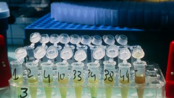 Toţi pacienţii de la ”Matei Balş” vor face teste serologice tip Elisa