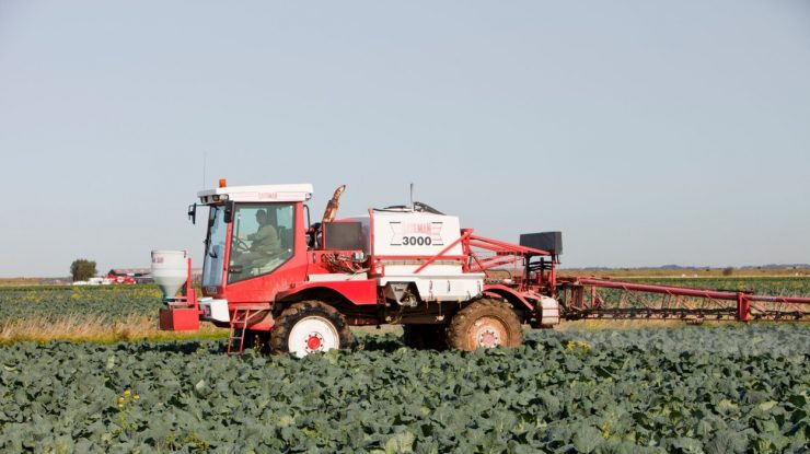 În lipsa sezonierilor din România şi alte ţări europene, prințul Charles face apel către britanici