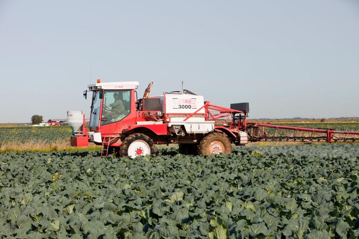 În lipsa sezonierilor din România şi alte ţări europene, prințul Charles face apel către britanici