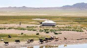 Țara care a ieșit campioană în lupta împotriva Covid-19: zero decese, zero transmisii locale