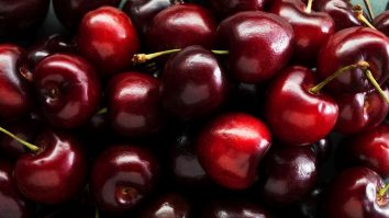 Kilogramul de cireșe costă cât o cutie cu măști de protecție, anul acesta