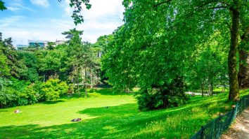 Te poți plimba prin parc în sectorul 2, dar viceprimarul Capitalei te roagă să nu o faci