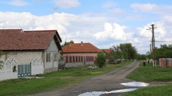 Coronavirusul de pe ulițe prevenit de săteni cu țuică fiartă și piper