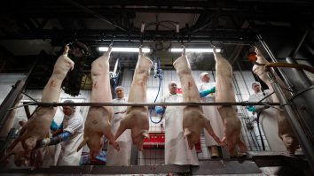 Mărturia unui român, prizioner în focarul german.  Primeşte mâncare printre gratii de la voluntari