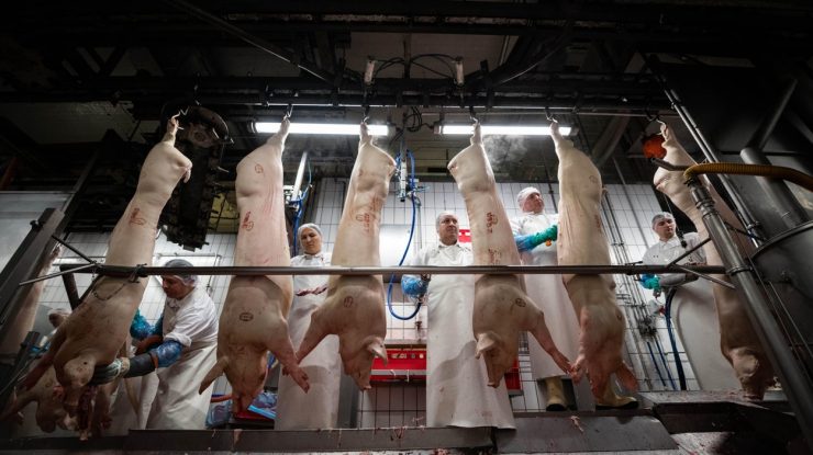 Mărturia unui român, prizioner în focarul german.  Primeşte mâncare printre gratii de la voluntari