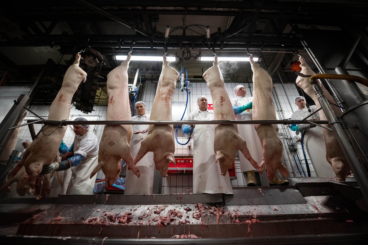 Mărturia unui român, prizioner în focarul german.  Primeşte mâncare printre gratii de la voluntari