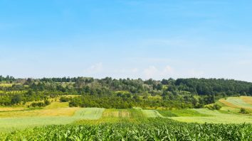 9 mai, ziua Europei. România, fruntașă la producția de cereale și codașă în învățământ și sănătate