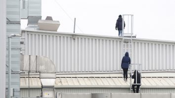 Alţi 80 de români care lucrează la un abator din Germania, infectați cu Covid-19