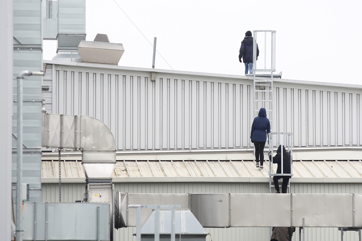 Alţi 80 de români care lucrează la un abator din Germania, infectați cu Covid-19