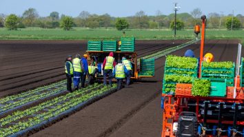 Muncitorii români mană cerească pentru englezi: „Trebuie să fii apt fizic”