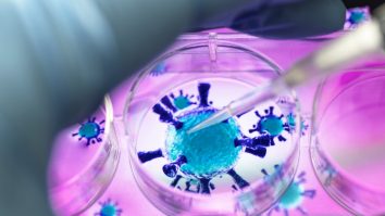 NYT: Cum se termină pandemiile și cine stă în spatele acestor decizii