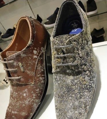 Surpriza de care au avut parte angajații un mall: Genți, curele și pantofi îmbâcsiți cu mucegai