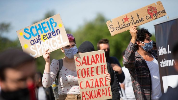 Românii de la ferma din Bornheim şi-au primit salariile şi sunt ajutaţi să-şi găsească alt job