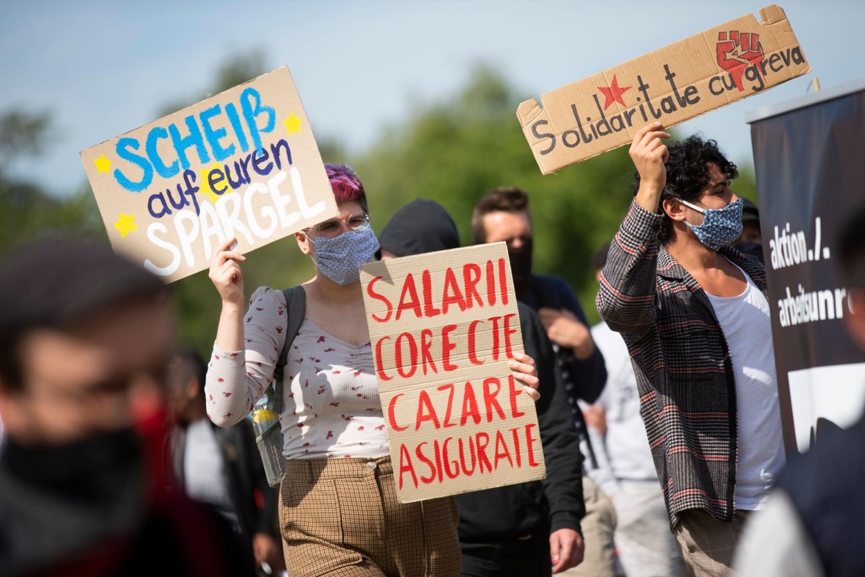 Românii de la ferma din Bornheim şi-au primit salariile şi sunt ajutaţi să-şi găsească alt job