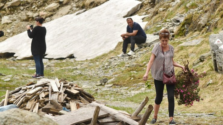 Revoltă pe rețelele de socializare după ce o turistă a smuls o tufă de bujor de munte