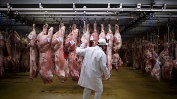 MAE: Aproape 1000 de români, care lucrează la un abator din Germania, au fost confirmați cu Covid-19