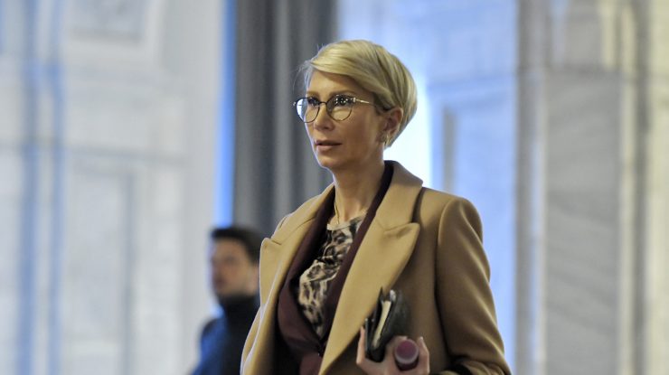 PNL iese la atac. Turcan: Decizia de azi a CCR este o nebunie