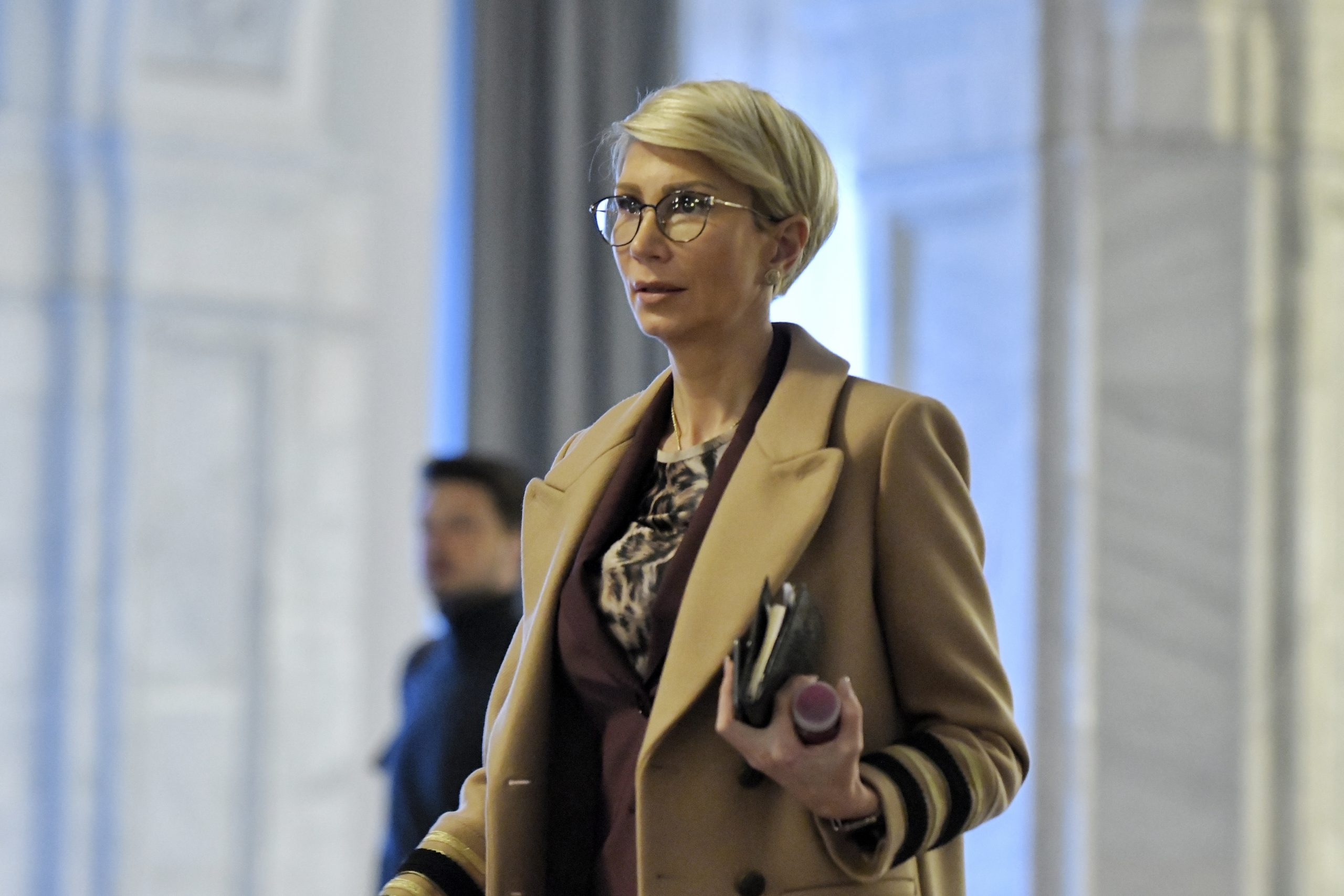 PNL iese la atac. Turcan: Decizia de azi a CCR este o nebunie