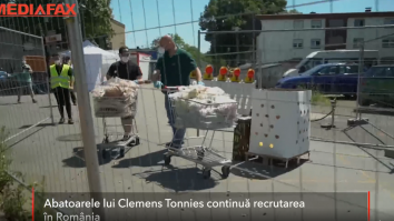 Românii sunt păcăliți înainte să plece la muncă într-unul dintre abatoarele din Germania. Ce salariu li se promite