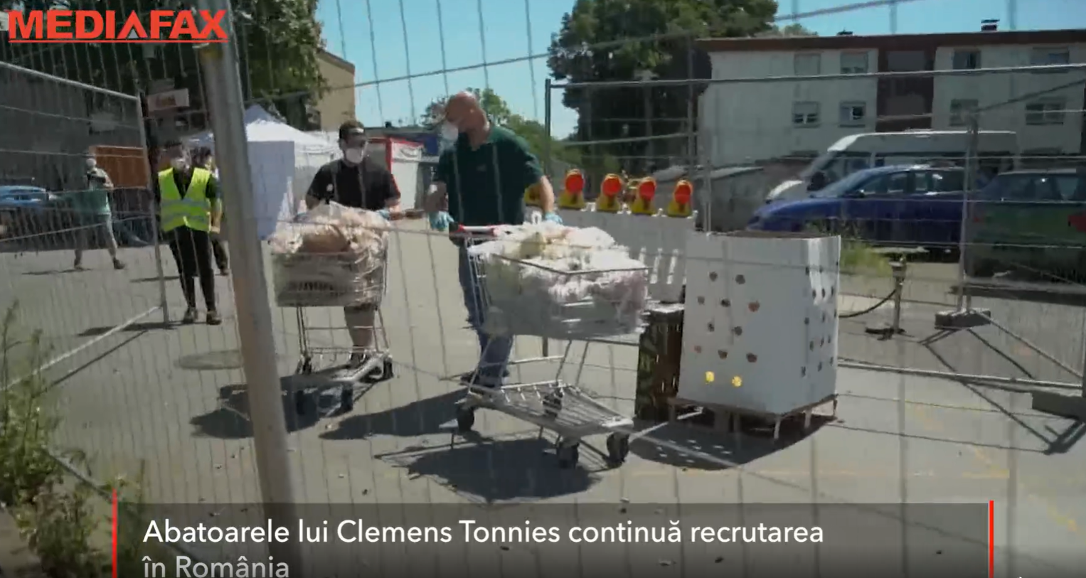 Românii sunt păcăliți înainte să plece la muncă într-unul dintre abatoarele din Germania. Ce salariu li se promite