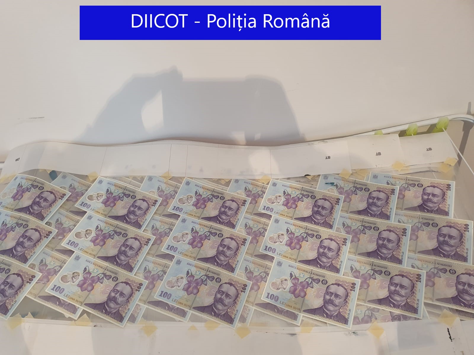 Poliția Română a arestat cel mai mare falsificator de bancnote de plastic din lume