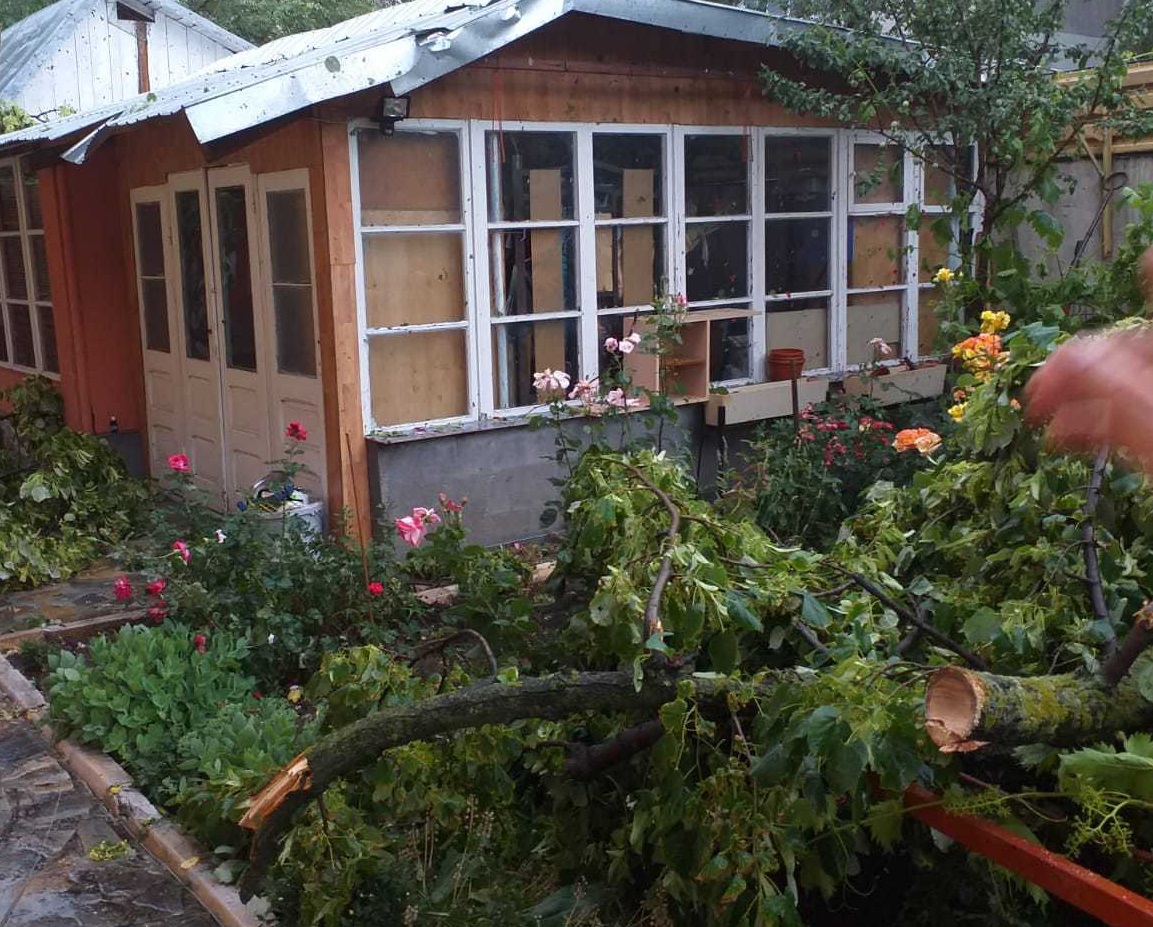 Ploaia cu grindină a făcut prăpăd și în Galați. Momentul în care un copac este doborât de vijelie