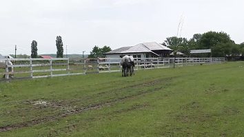 La muzeul Goleşti era aşteptată Izoleta, însă a venit Covid 2 cu chip de mânz negru