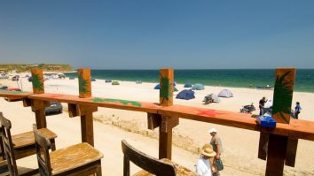 Latura „bună” a pandemiei. În lipsa sezonierilor străini, patronii de pe litoralul românesc angajează români